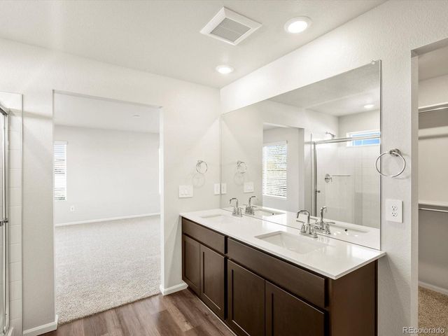 1699 Yampa River Dr, Windsor, CO 80550