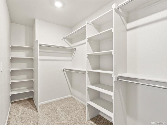 1699 Yampa River Dr, Windsor, CO 80550