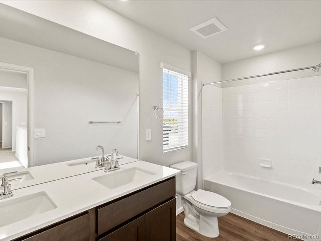 1699 Yampa River Dr, Windsor, CO 80550