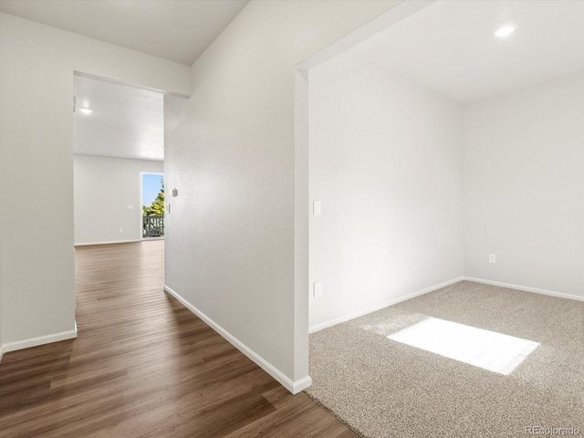 1699 Yampa River Dr, Windsor, CO 80550