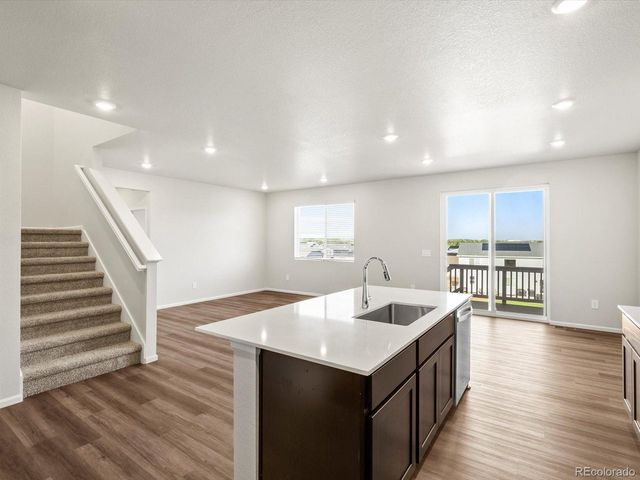 1699 Yampa River Dr, Windsor, CO 80550