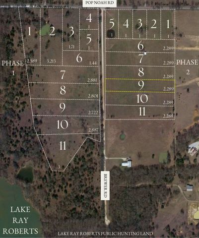 432 William Brewer Road, Collinsville, TX 76721