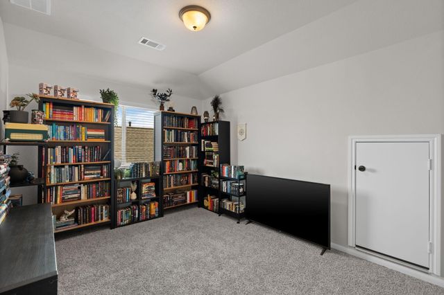 31123 Birch Mills Drive, Hockley, TX 77447