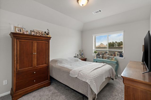 31123 Birch Mills Drive, Hockley, TX 77447