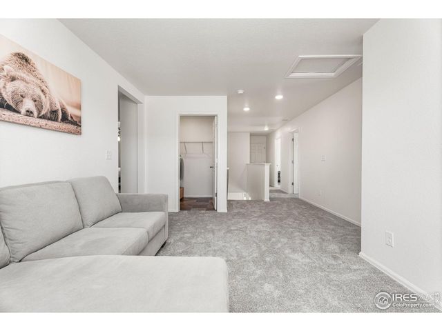 503 Buckrake St, Severance, CO 80550