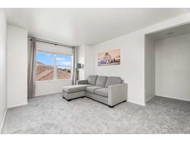 503 Buckrake St, Severance, CO 80550