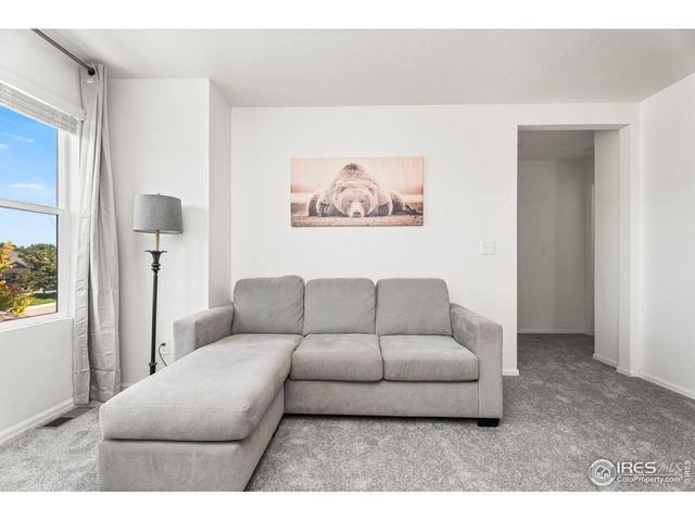 503 Buckrake St, Severance, CO 80550