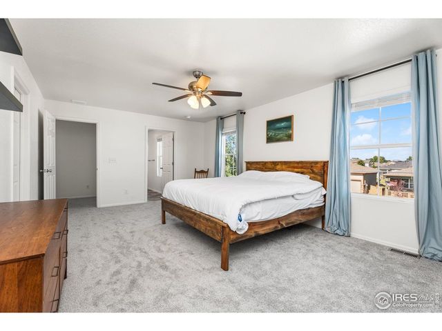 503 Buckrake St, Severance, CO 80550