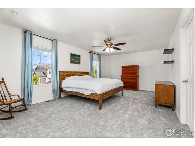 503 Buckrake St, Severance, CO 80550