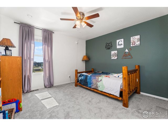 503 Buckrake St, Severance, CO 80550