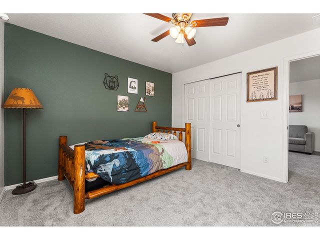 503 Buckrake St, Severance, CO 80550