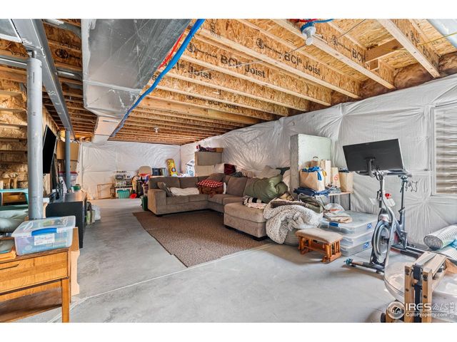 503 Buckrake St, Severance, CO 80550