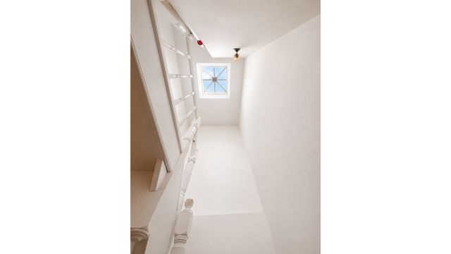 253 TROY Avenue, New York City, NY 11213
