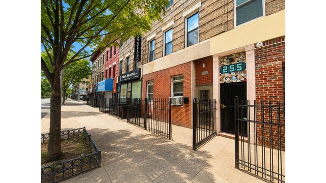 253 TROY Avenue, New York City, NY 11213