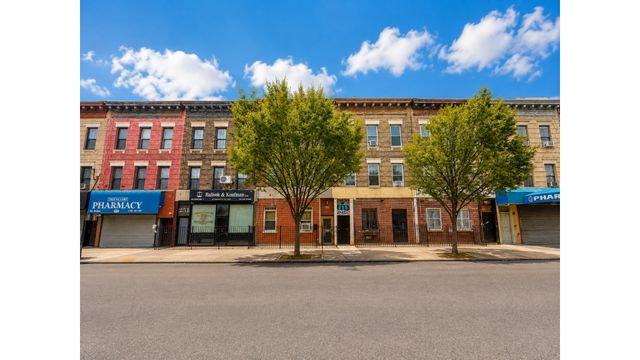 253 TROY Avenue, New York City, NY 11213
