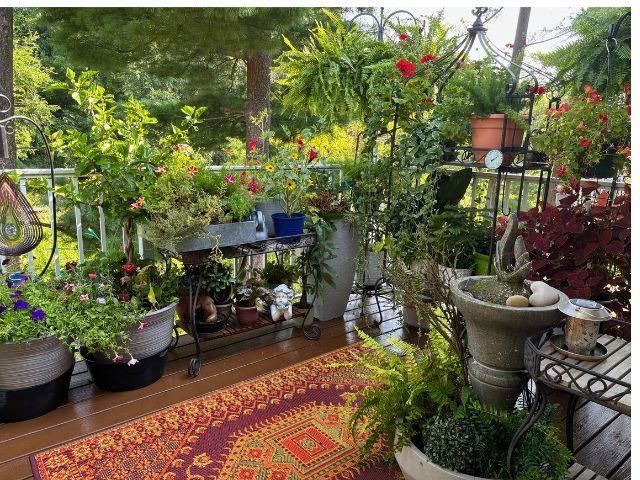 702 Clardell Drive, Sun Prairie, WI 53590