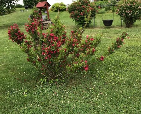 73 Tyner Loop, Tyner, KY 40486