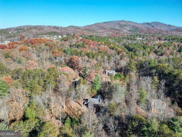 541 Rizzitello Lane, Blairsville, GA 30512