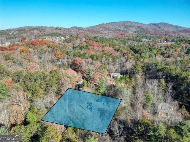 541 Rizzitello Lane, Blairsville, GA 30512