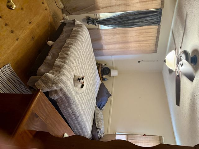 555 Eastside Dr, White Bluff, TN 37187