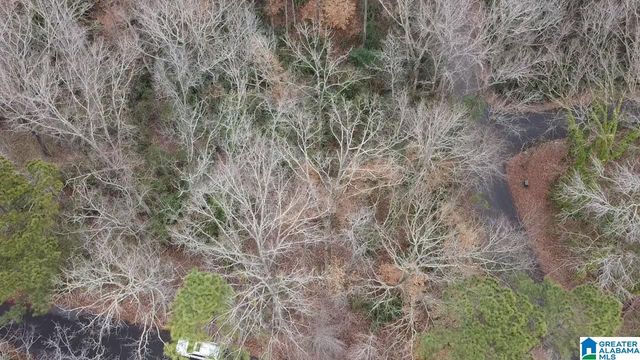 GREENHILL ROAD, Sylacauga, AL 35150