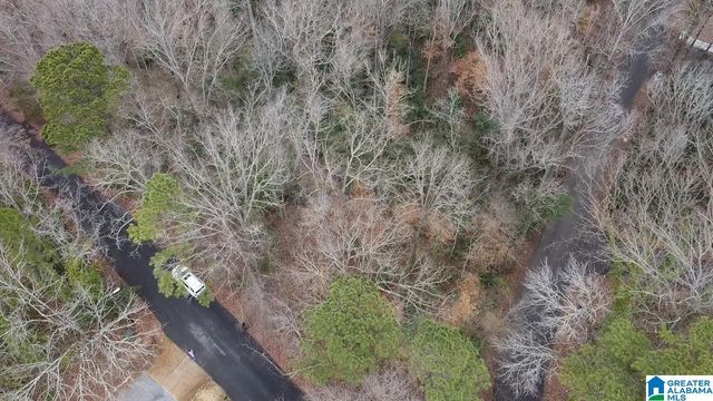 GREENHILL ROAD, Sylacauga, AL 35150