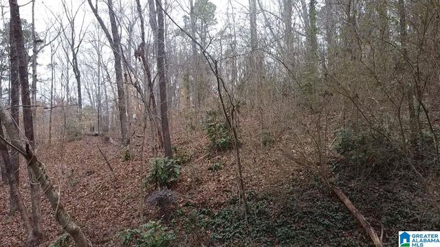 GREENHILL ROAD, Sylacauga, AL 35150