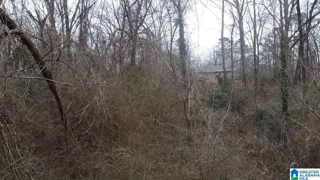 GREENHILL ROAD, Sylacauga, AL 35150