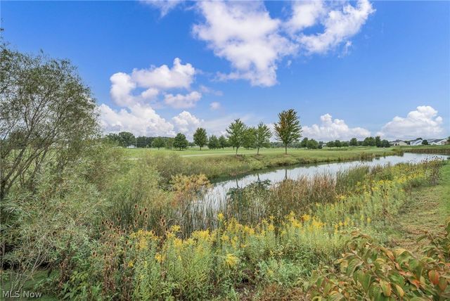 3238 Seven Bridges Road, Medina, OH 44256