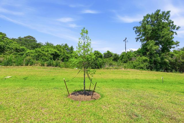 284 Long Beard Way, Longs, SC 29568