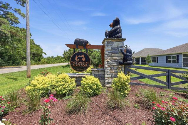 284 Long Beard Way, Longs, SC 29568