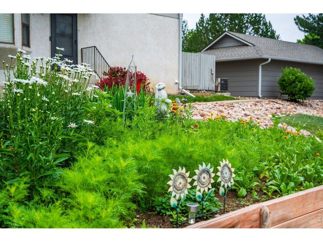 2243 Emery St D, Longmont, CO 80501