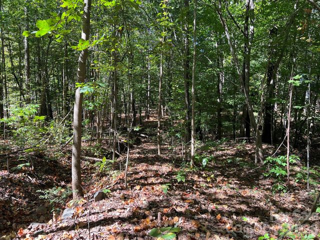 0 Nablus Drive 5, Waxhaw, NC 28173