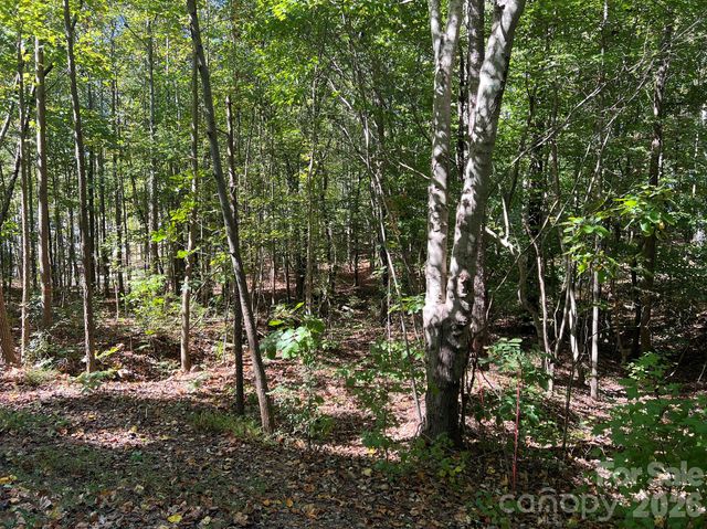 0 Nablus Drive 5, Waxhaw, NC 28173