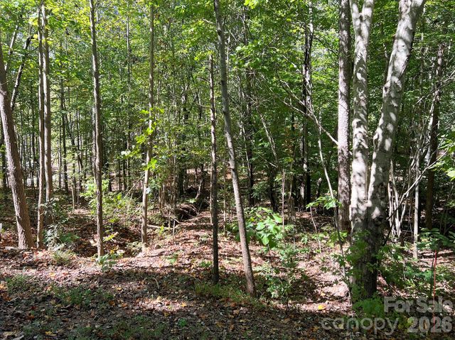 0 Nablus Drive 5, Waxhaw, NC 28173