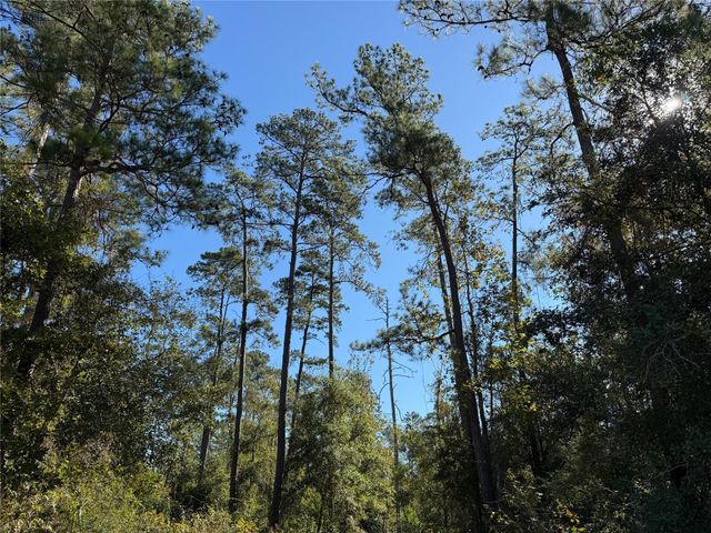 T-9 Eldridge Road, Cleveland, TX 77328