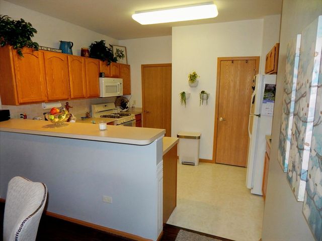 11645 River Terrace Lane, Huntley, IL 60142