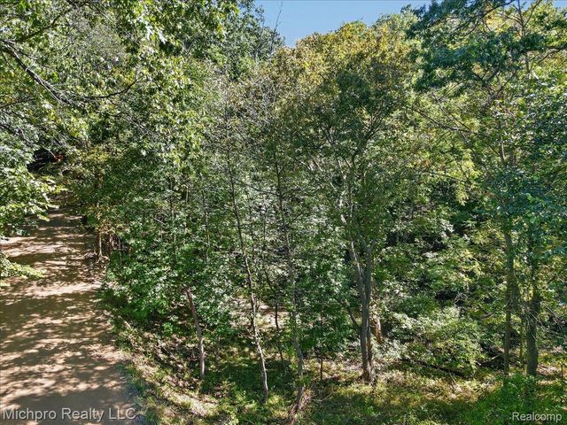 2899 Indian Lake Road, Addison Township, MI 48370