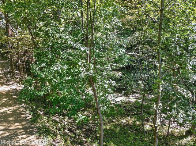 2899 Indian Lake Road, Addison Township, MI 48370