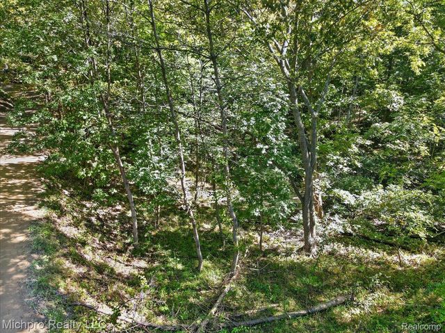 2899 Indian Lake Road, Addison Township, MI 48370
