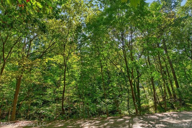 2899 Indian Lake Road, Addison Township, MI 48370