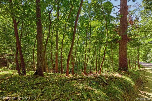 2899 Indian Lake Road, Addison Township, MI 48370