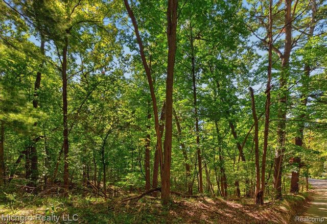 2899 Indian Lake Road, Addison Township, MI 48370