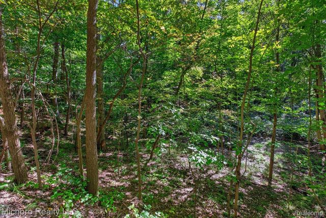 2899 Indian Lake Road, Addison Township, MI 48370