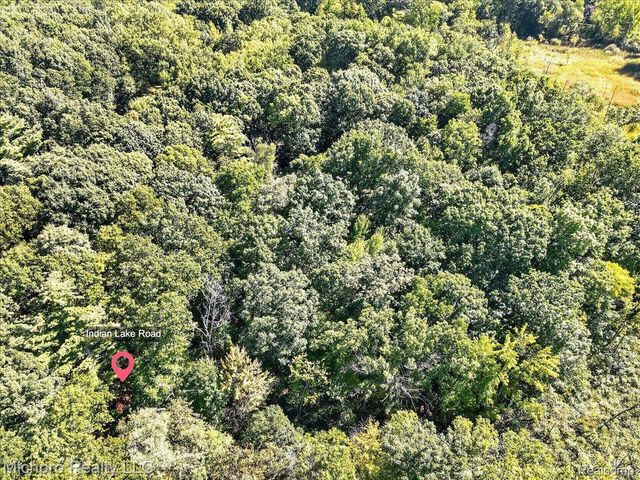 2899 Indian Lake Road, Addison Township, MI 48370