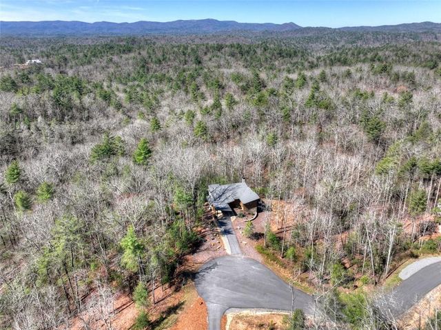 466 E Watersong Bluff, Ellijay, GA 30540