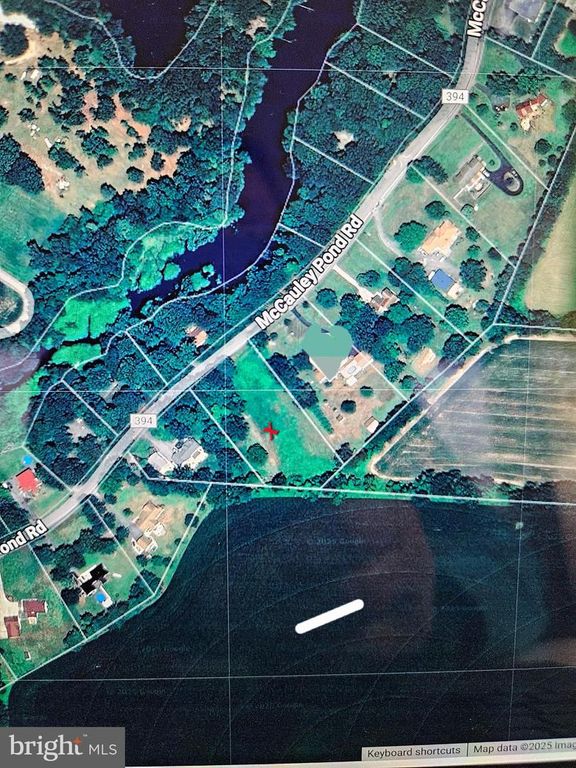 LOT 8 MCCAULEY POND RD, Harrington, DE 19952