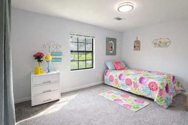 132 Hackberry Cove Lane, Onalaska, TX 77360