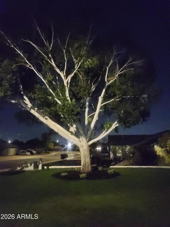 1412 N AUGUSTINE --, Mesa, AZ 85207 — photo 4