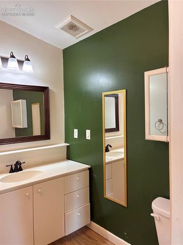 169 Daisy Street, Woodland Park, CO 80863